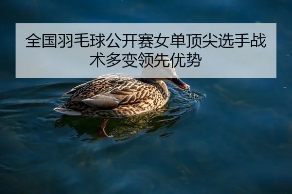 全国羽毛球公开赛女单顶尖选手战术多变领先优势